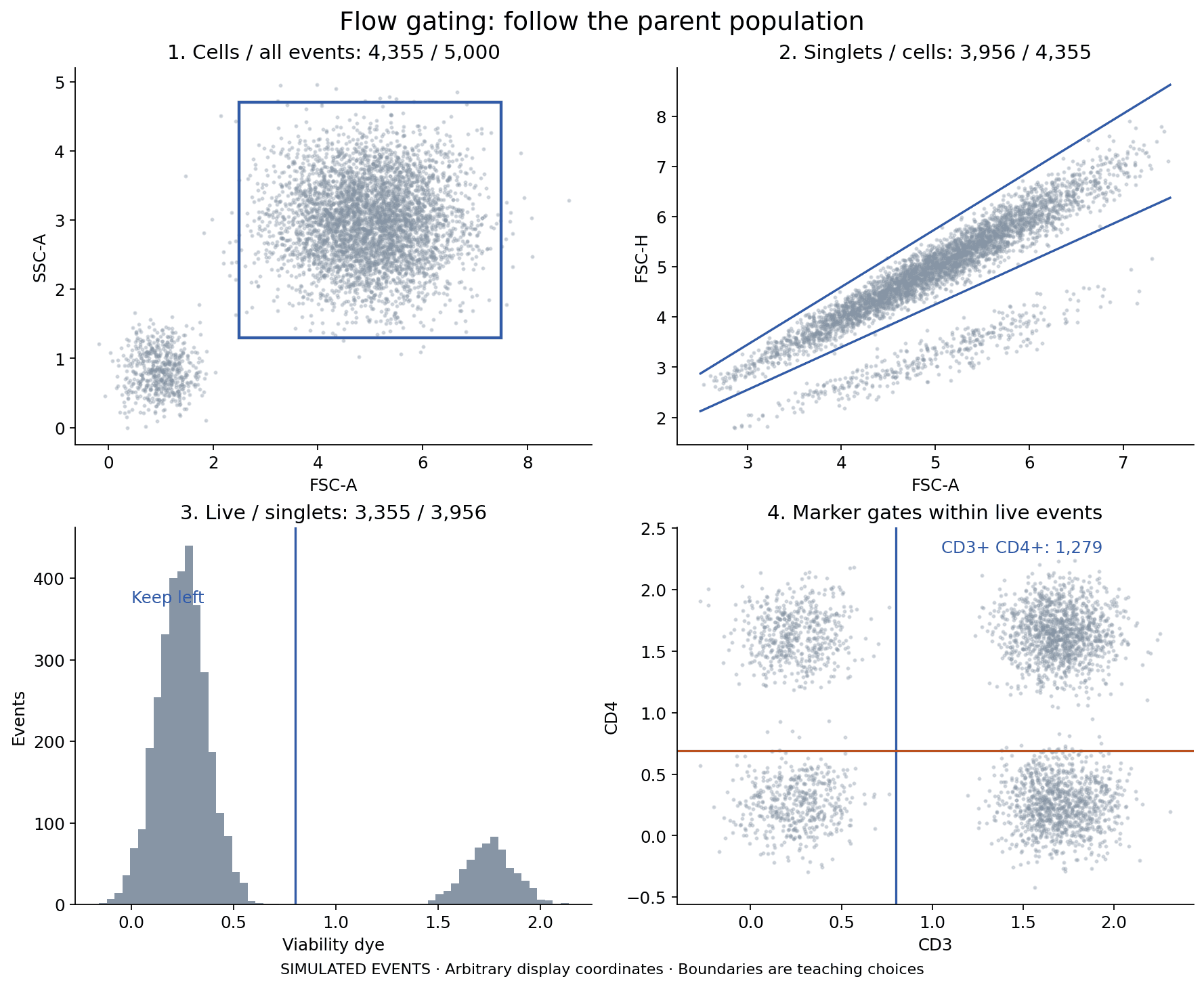 Four annotated plots of simulated events showing scatter, singlet, viability, and CD3/CD4 gates